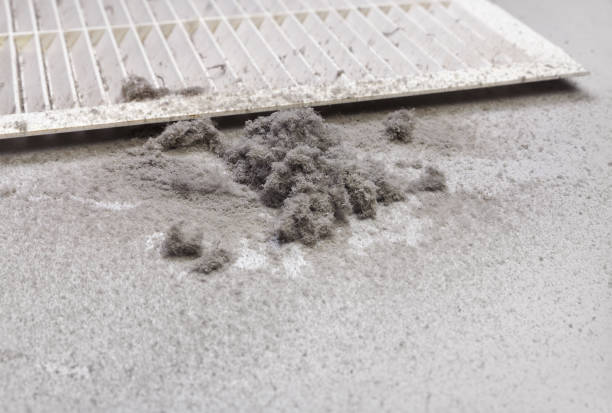 Best Professional Duct Cleaning Services  in Valle Vista, CA
